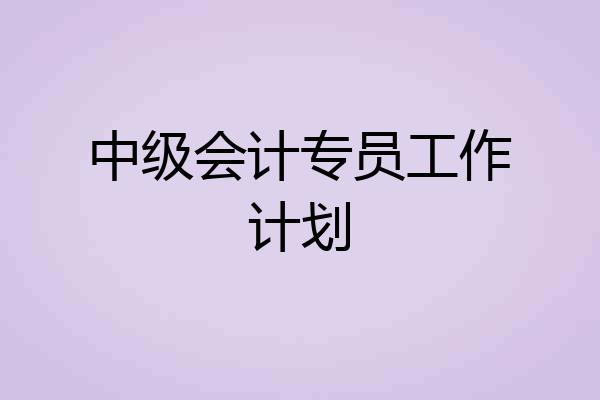 中级会计专员工作计划