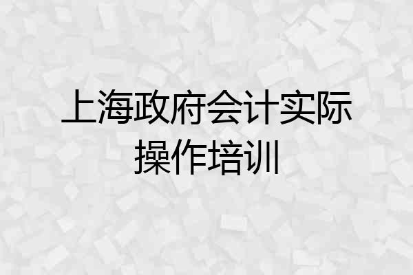 上海政府会计实际操作培训