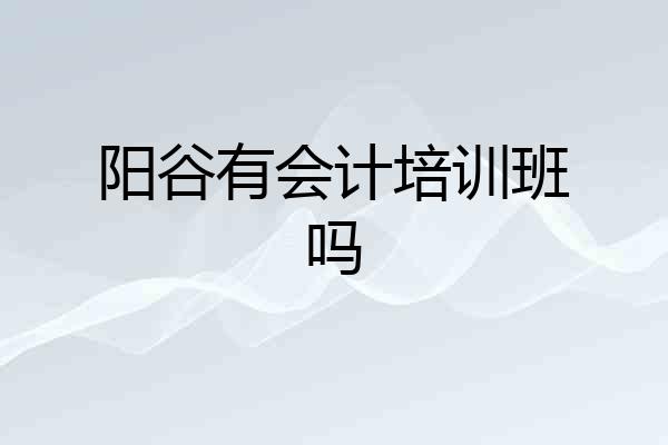 阳谷有会计培训班吗