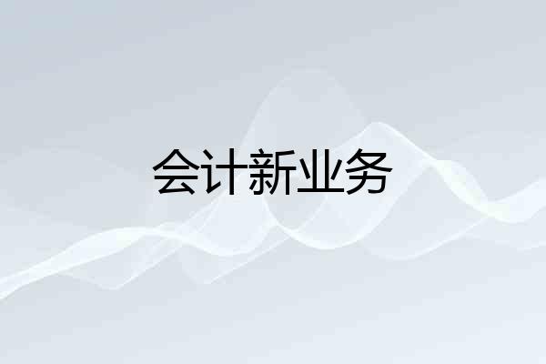 会计新业务