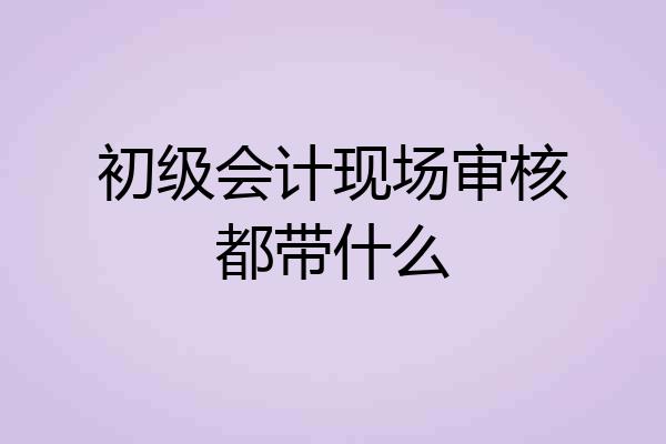 初级会计现场审核都带什么
