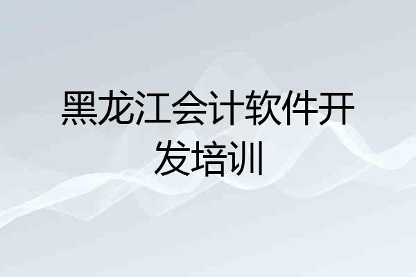 黑龙江会计软件开发培训
