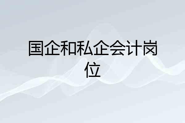 国企和私企会计岗位