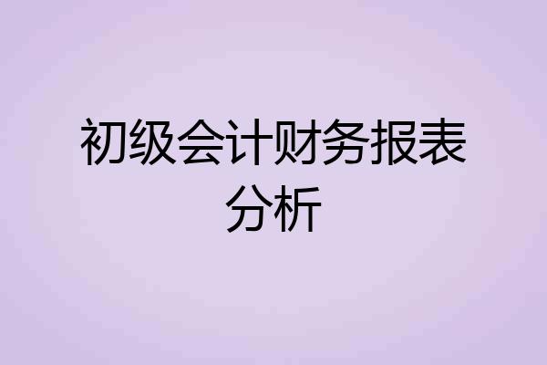 初级会计财务报表分析