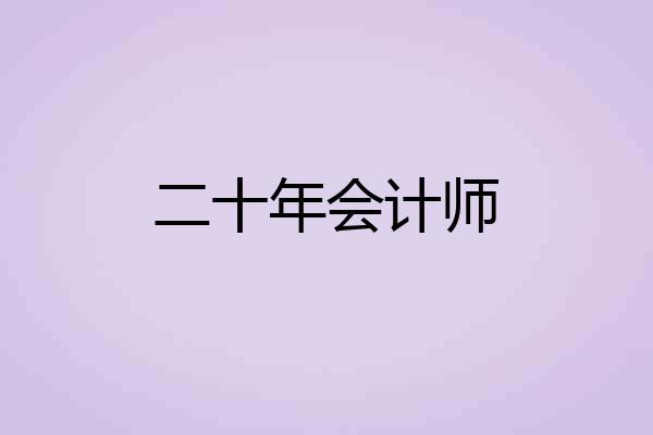 二十年会计师