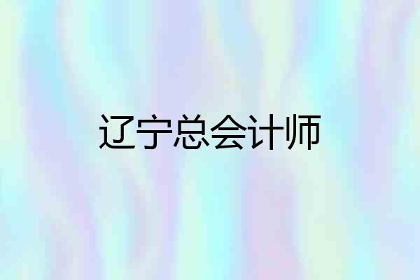 辽宁总会计师