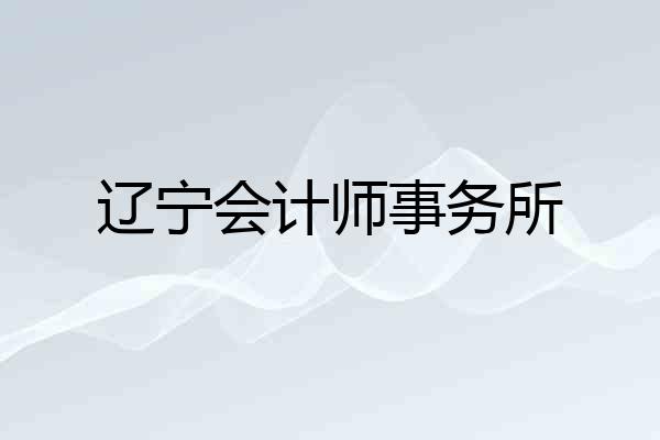 辽宁会计师事务所
