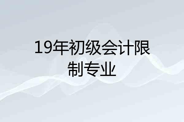 19年初级会计限制专业