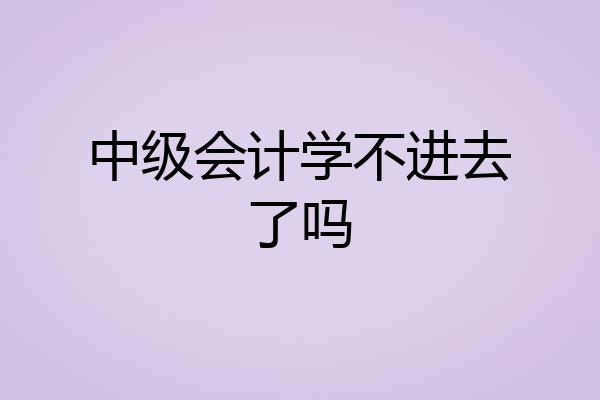 中级会计学不进去了吗