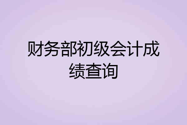 财务部初级会计成绩查询