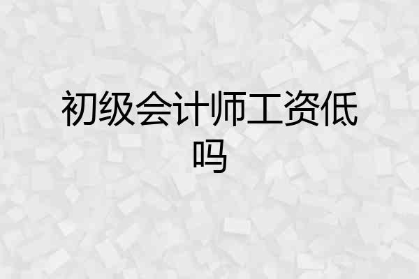 初级会计师工资低吗