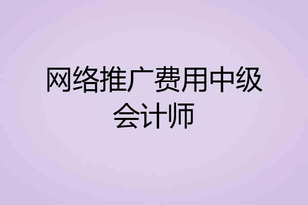 网络推广费用中级会计师