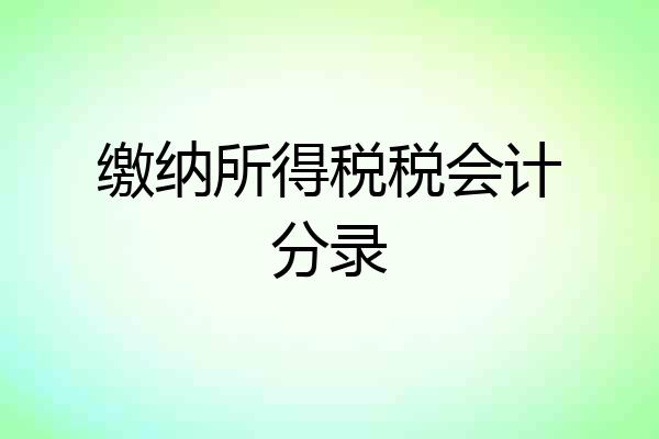 缴纳所得税税会计分录