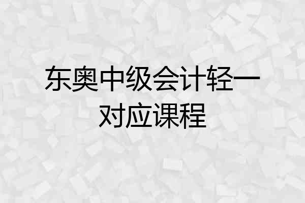 东奥中级会计轻一对应课程