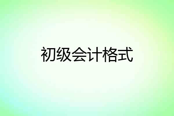 初级会计格式