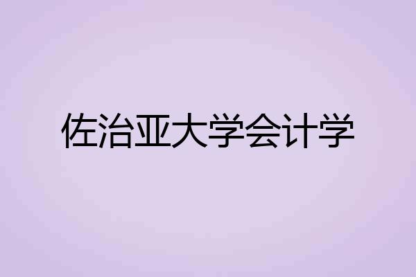 佐治亚大学会计学