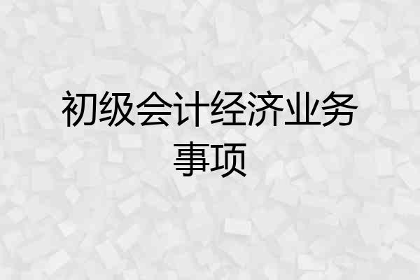 初级会计经济业务事项