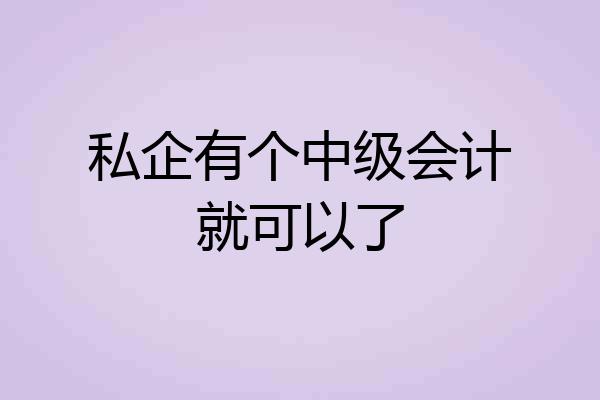 私企有个中级会计就可以了