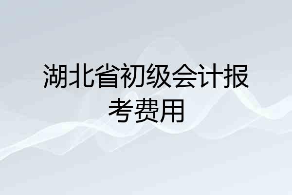 湖北省初级会计报考费用
