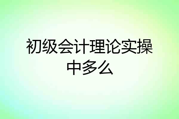 初级会计理论实操中多么