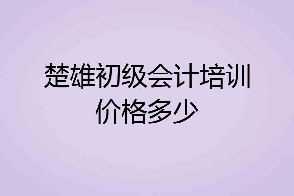 楚雄初级会计培训价格多少