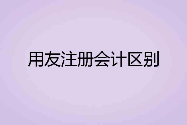 用友注册会计区别