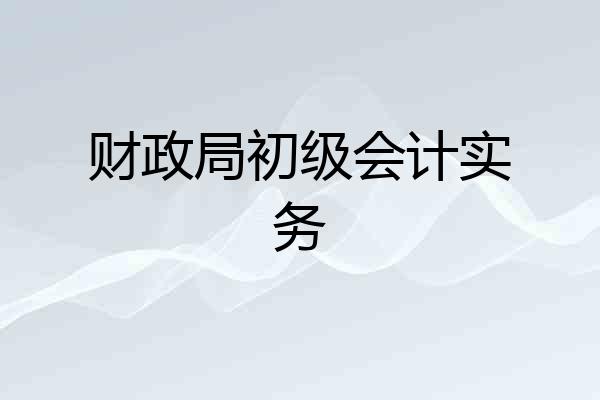 财政局初级会计实务