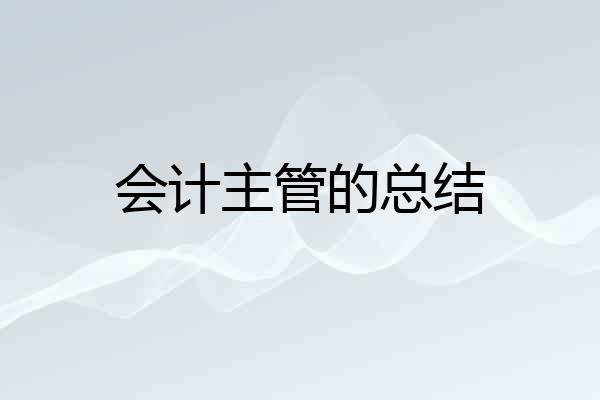 会计主管的总结