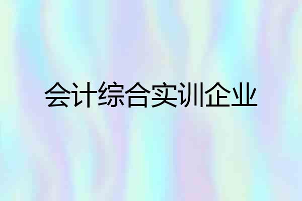 会计综合实训企业