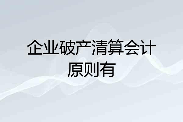 企业破产清算会计原则有
