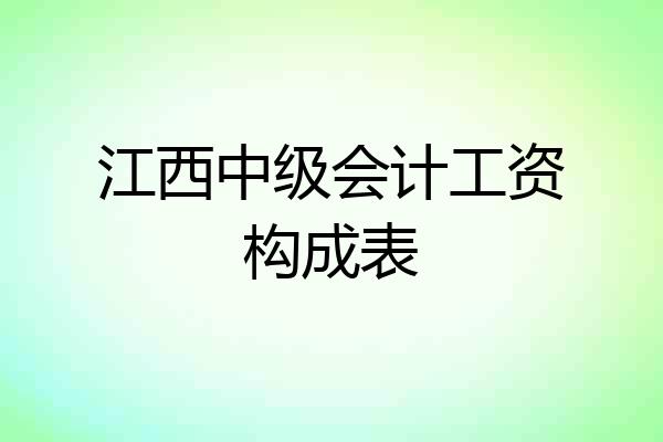 江西中级会计工资构成表