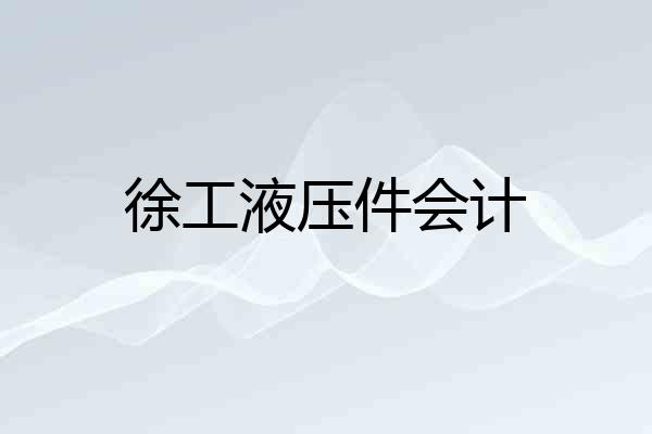 徐工液压件会计