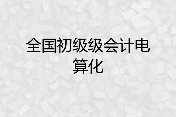 全国初级级会计电算化