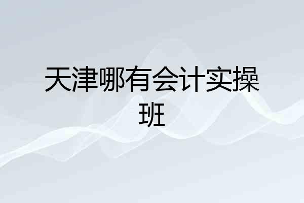 天津哪有会计实操班