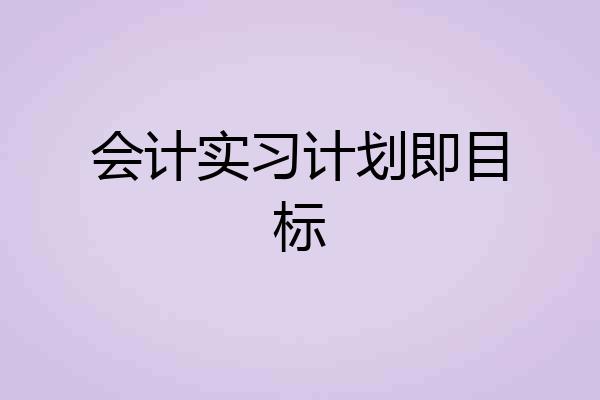 会计实习计划即目标