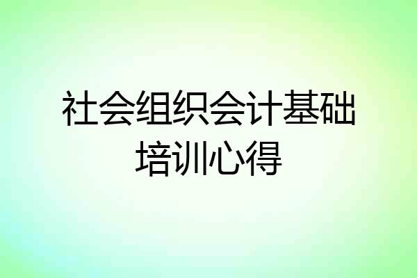 社会组织会计基础培训心得