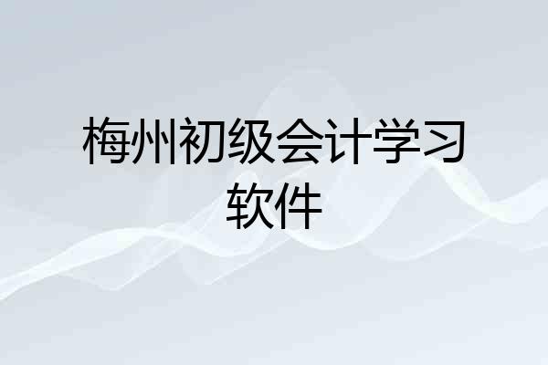 梅州初级会计学习软件