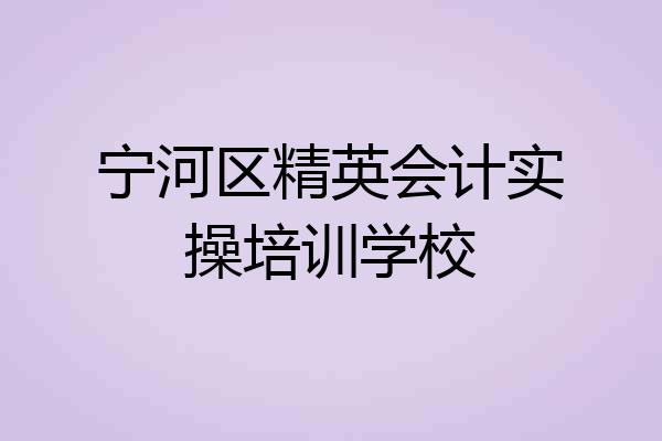 宁河区精英会计实操培训学校