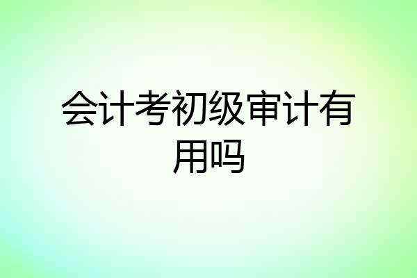 会计考初级审计有用吗