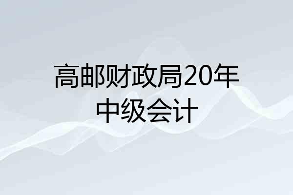 高邮财政局20年中级会计
