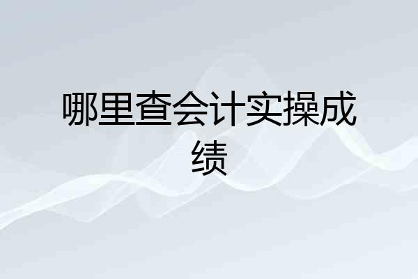 哪里查会计实操成绩