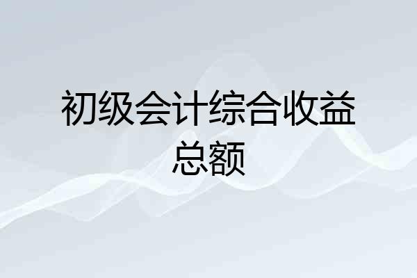 初级会计综合收益总额