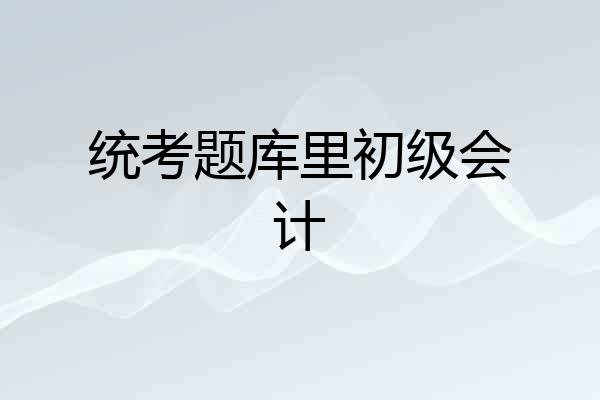 统考题库里初级会计
