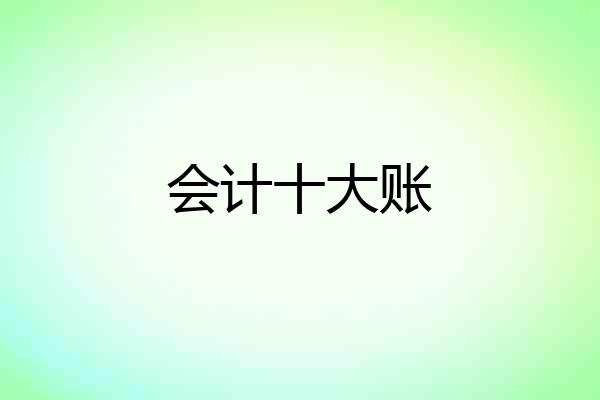 会计十大账