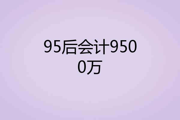 95后会计9500万
