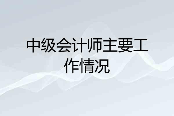 中级会计师主要工作情况