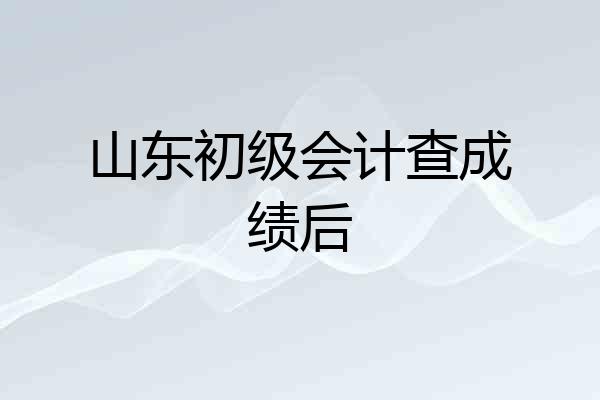 山东初级会计查成绩后