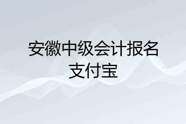 安徽中级会计报名支付宝
