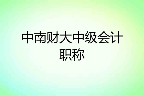 中南财大中级会计职称
