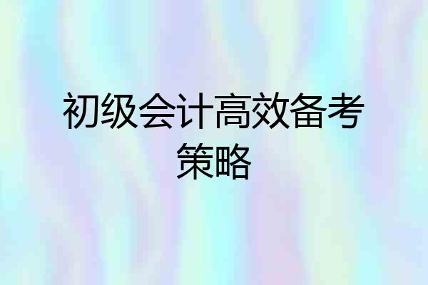 初级会计高效备考策略